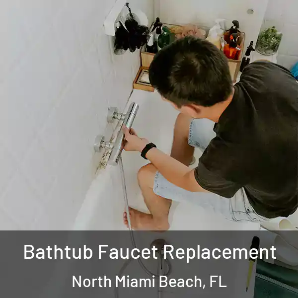  Bathtub Faucet Replacement North Miami Beach, FL