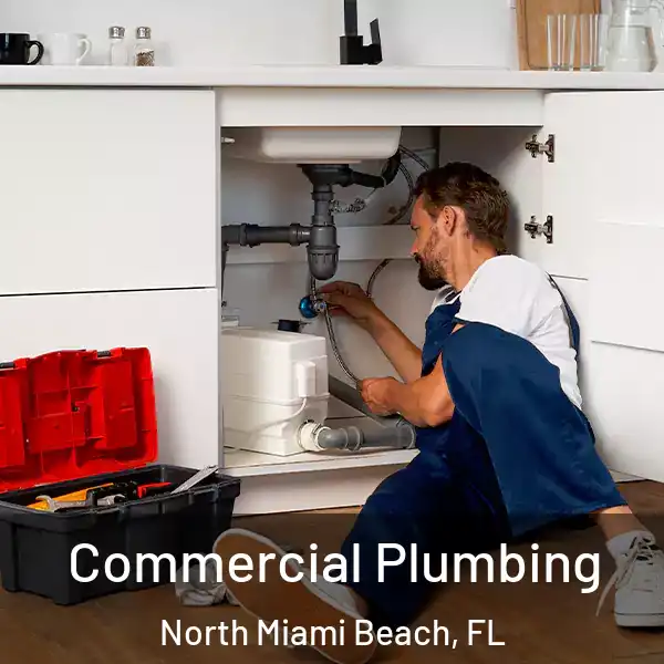  Commercial Plumbing North Miami Beach, FL