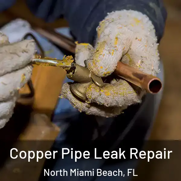  Copper Pipe Leak Repair North Miami Beach, FL