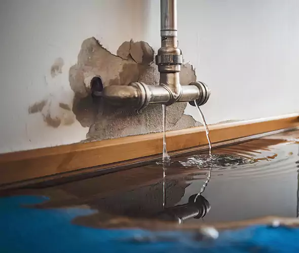 Professional Water Damage Restoration Experts in North Miami Beach, FL — Fast, Reliable & Certified