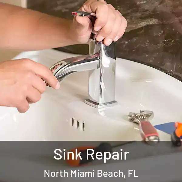  Sink Repair North Miami Beach, FL