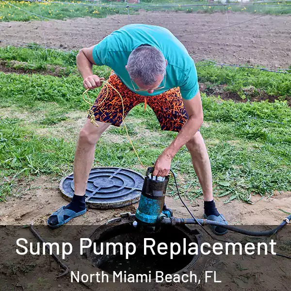  Sump Pump Replacement North Miami Beach, FL